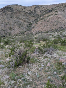 image from South Mountain Preserve in Phoenix AZ