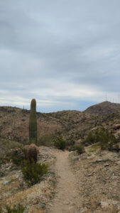 image from South Mountain Preserve in Phoenix AZ
