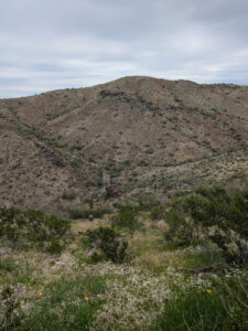 image from South Mountain Preserve in Phoenix AZ