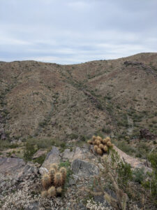 image from South Mountain Preserve in Phoenix AZ