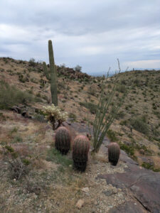 image from South Mountain Preserve in Phoenix AZ