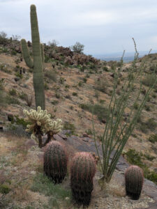 image from South Mountain Preserve in Phoenix AZ