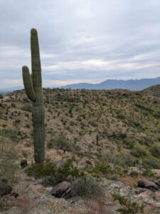 image from South Mountain Preserve in Phoenix AZ