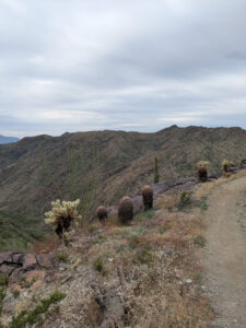 image from South Mountain Preserve in Phoenix AZ