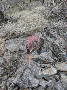 image from South Mountain Preserve in Phoenix AZ