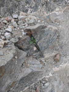 image from South Mountain Preserve in Phoenix AZ