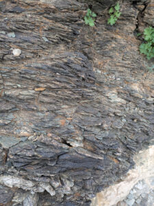 image from South Mountain Preserve in Phoenix AZ