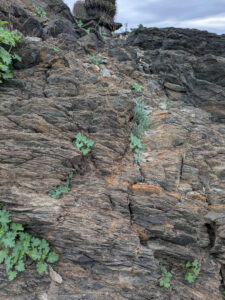 image from South Mountain Preserve in Phoenix AZ