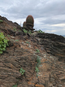 image from South Mountain Preserve in Phoenix AZ