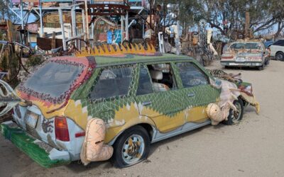 The Salton Sea: Better Late Than Never